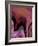 Patchy Pink IV-Ruth Palmer-Framed Art Print