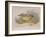 Patent Landau, 1809-null-Framed Giclee Print