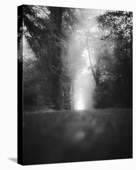 Path Ahead-David Keochkerian-Framed Stretched Canvas