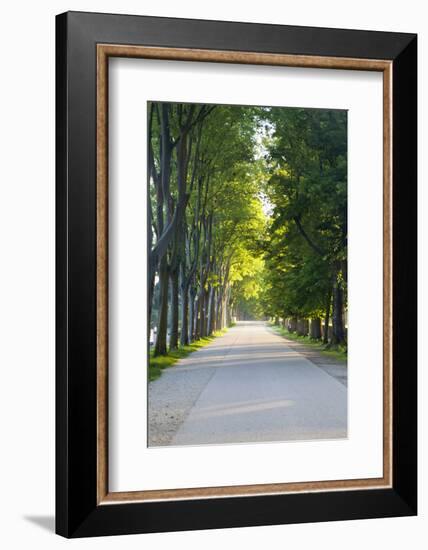 Path Along the Wall Surrounding Lucca, Italy-Terry Eggers-Framed Photographic Print