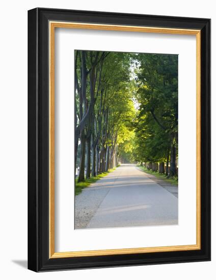 Path Along the Wall Surrounding Lucca, Italy-Terry Eggers-Framed Photographic Print