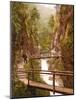 Path and Bridge in the Almbach Gorge in Berchtesgaden, Bavaria, 1890-1900-null-Mounted Photographic Print