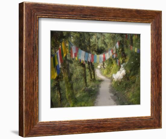 Path and Prayer Flags, Mcleod Ganj, Dharamsala, Himachal Pradesh State, India-Jochen Schlenker-Framed Photographic Print