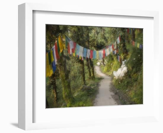 Path and Prayer Flags, Mcleod Ganj, Dharamsala, Himachal Pradesh State, India-Jochen Schlenker-Framed Photographic Print