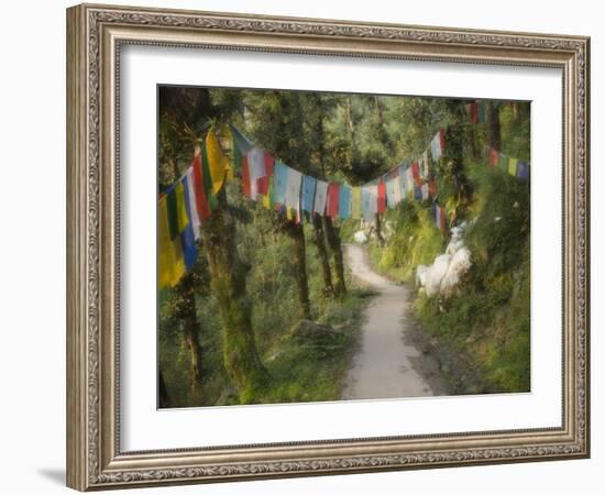 Path and Prayer Flags, Mcleod Ganj, Dharamsala, Himachal Pradesh State, India-Jochen Schlenker-Framed Photographic Print