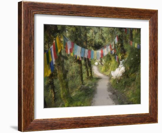 Path and Prayer Flags, Mcleod Ganj, Dharamsala, Himachal Pradesh State, India-Jochen Schlenker-Framed Photographic Print