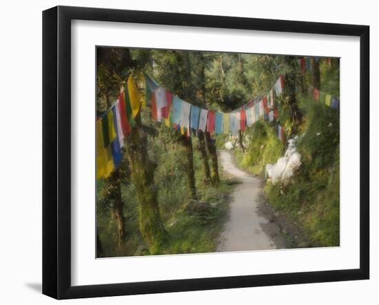 Path and Prayer Flags, Mcleod Ganj, Dharamsala, Himachal Pradesh State, India-Jochen Schlenker-Framed Photographic Print