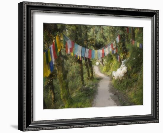 Path and Prayer Flags, Mcleod Ganj, Dharamsala, Himachal Pradesh State, India-Jochen Schlenker-Framed Photographic Print