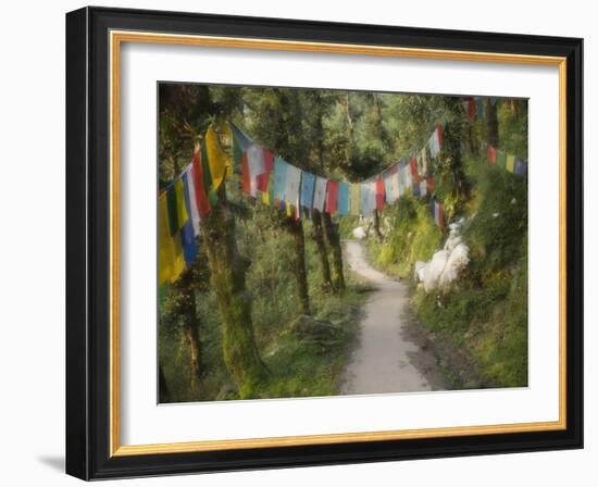 Path and Prayer Flags, Mcleod Ganj, Dharamsala, Himachal Pradesh State, India-Jochen Schlenker-Framed Photographic Print