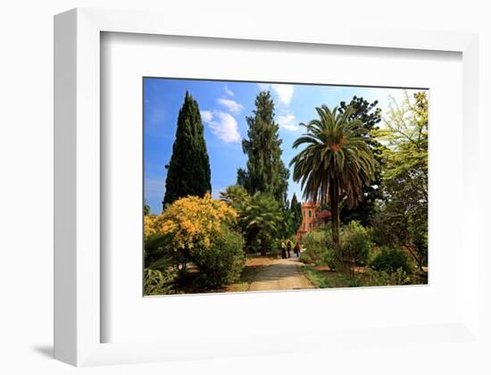 Path at Hanbury Botanic Gardens near Ventimiglia, Province of Imperia, Liguria, Italy-null-Framed Art Print