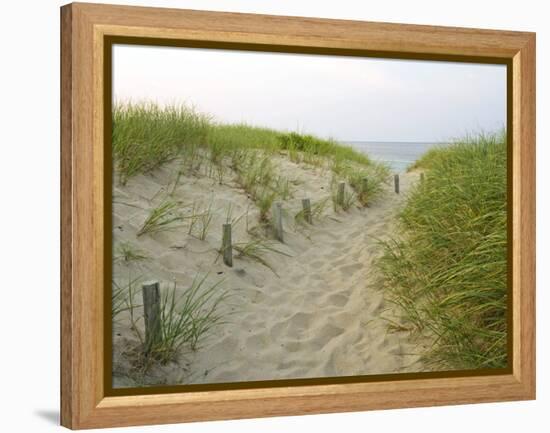 Path at Head of the Meadow Beach, Cape Cod National Seashore, Massachusetts, USA-Jerry & Marcy Monkman-Framed Premier Image Canvas