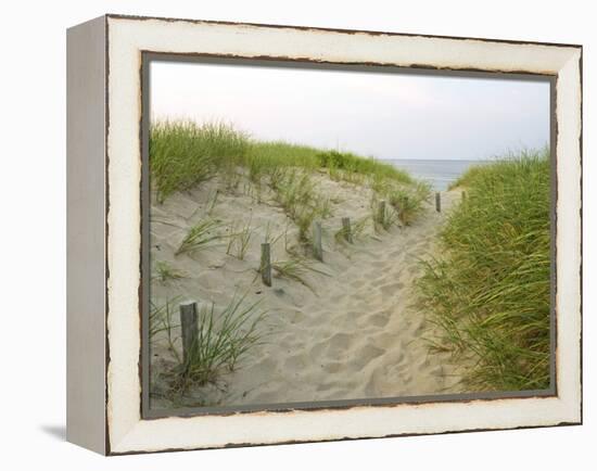 Path at Head of the Meadow Beach, Cape Cod National Seashore, Massachusetts, USA-Jerry & Marcy Monkman-Framed Premier Image Canvas