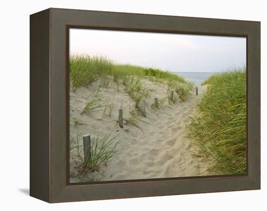 Path at Head of the Meadow Beach, Cape Cod National Seashore, Massachusetts, USA-Jerry & Marcy Monkman-Framed Premier Image Canvas