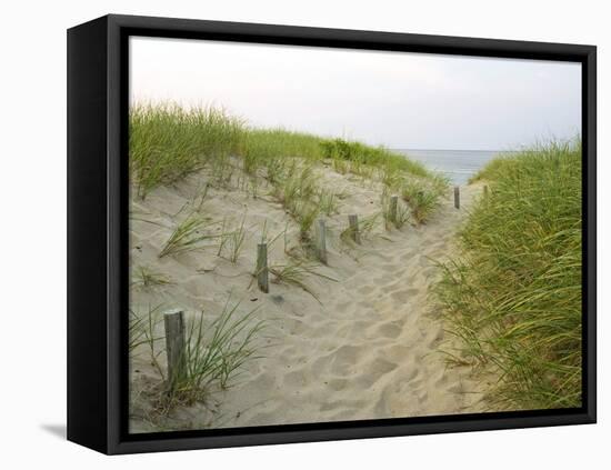 Path at Head of the Meadow Beach, Cape Cod National Seashore, Massachusetts, USA-Jerry & Marcy Monkman-Framed Premier Image Canvas