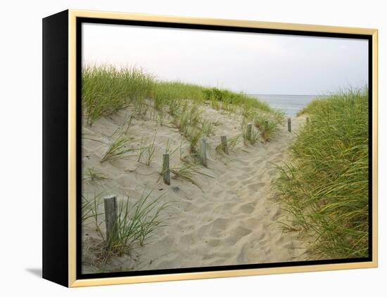 Path at Head of the Meadow Beach, Cape Cod National Seashore, Massachusetts, USA-Jerry & Marcy Monkman-Framed Premier Image Canvas