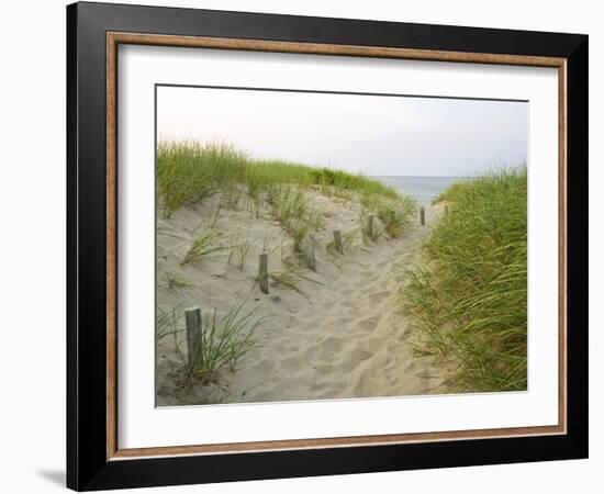 Path at Head of the Meadow Beach, Cape Cod National Seashore, Massachusetts, USA-Jerry & Marcy Monkman-Framed Photographic Print