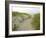 Path at Head of the Meadow Beach, Cape Cod National Seashore, Massachusetts, USA-Jerry & Marcy Monkman-Framed Photographic Print