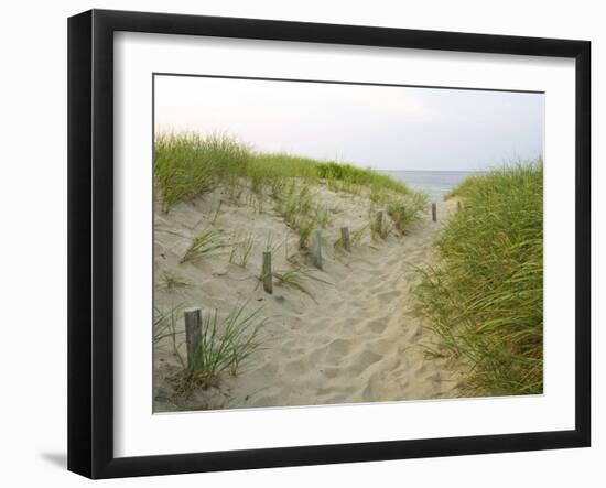 Path at Head of the Meadow Beach, Cape Cod National Seashore, Massachusetts, USA-Jerry & Marcy Monkman-Framed Photographic Print