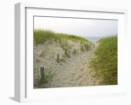 Path at Head of the Meadow Beach, Cape Cod National Seashore, Massachusetts, USA-Jerry & Marcy Monkman-Framed Photographic Print