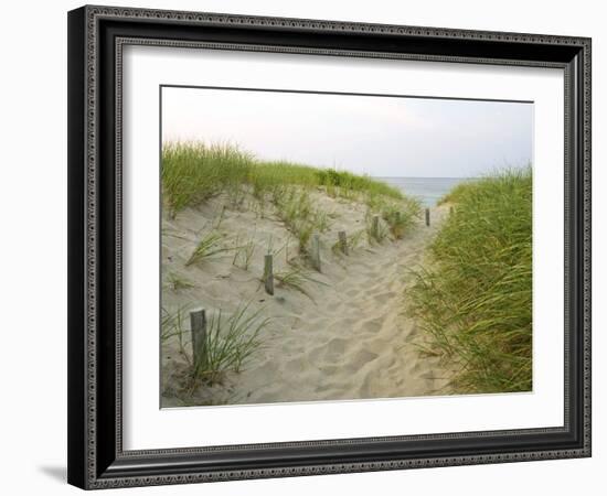 Path at Head of the Meadow Beach, Cape Cod National Seashore, Massachusetts, USA-Jerry & Marcy Monkman-Framed Photographic Print