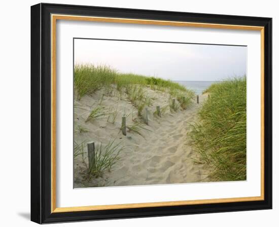 Path at Head of the Meadow Beach, Cape Cod National Seashore, Massachusetts, USA-Jerry & Marcy Monkman-Framed Photographic Print