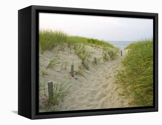 Path at Head of the Meadow Beach, Cape Cod National Seashore, Massachusetts, USA-Jerry & Marcy Monkman-Framed Premier Image Canvas