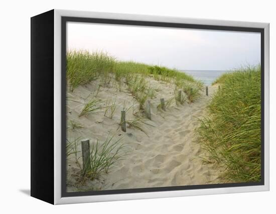 Path at Head of the Meadow Beach, Cape Cod National Seashore, Massachusetts, USA-Jerry & Marcy Monkman-Framed Premier Image Canvas