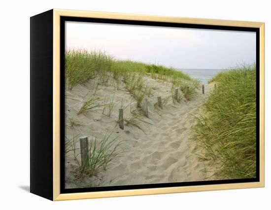 Path at Head of the Meadow Beach, Cape Cod National Seashore, Massachusetts, USA-Jerry & Marcy Monkman-Framed Premier Image Canvas