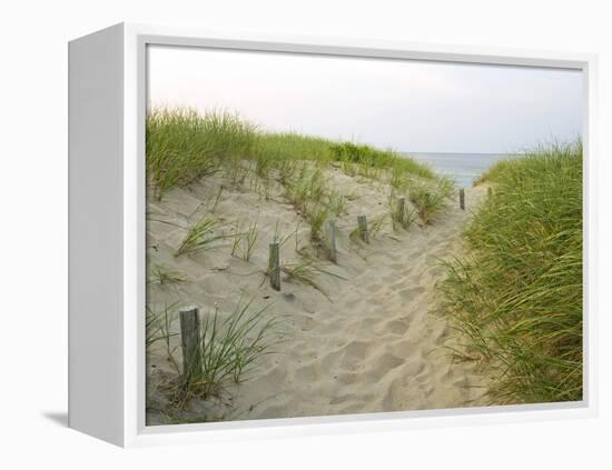 Path at Head of the Meadow Beach, Cape Cod National Seashore, Massachusetts, USA-Jerry & Marcy Monkman-Framed Premier Image Canvas