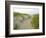 Path at Head of the Meadow Beach, Cape Cod National Seashore, Massachusetts, USA-Jerry & Marcy Monkman-Framed Premium Photographic Print