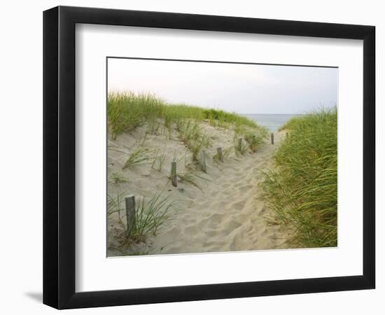 Path at Head of the Meadow Beach, Cape Cod National Seashore, Massachusetts, USA-Jerry & Marcy Monkman-Framed Premium Photographic Print