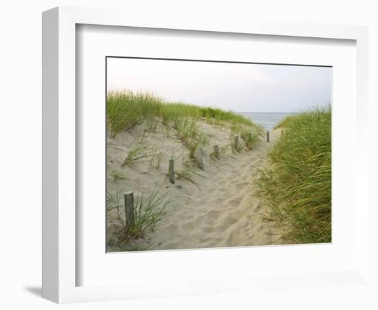 Path at Head of the Meadow Beach, Cape Cod National Seashore, Massachusetts, USA-Jerry & Marcy Monkman-Framed Premium Photographic Print