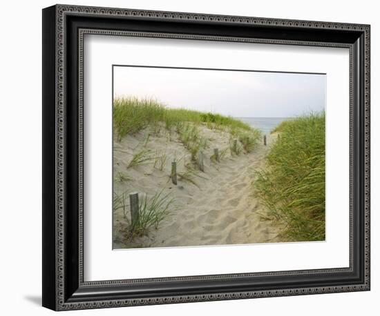 Path at Head of the Meadow Beach, Cape Cod National Seashore, Massachusetts, USA-Jerry & Marcy Monkman-Framed Premium Photographic Print