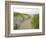 Path at Head of the Meadow Beach, Cape Cod National Seashore, Massachusetts, USA-Jerry & Marcy Monkman-Framed Photographic Print