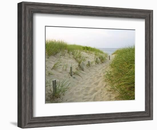 Path at Head of the Meadow Beach, Cape Cod National Seashore, Massachusetts, USA-Jerry & Marcy Monkman-Framed Photographic Print