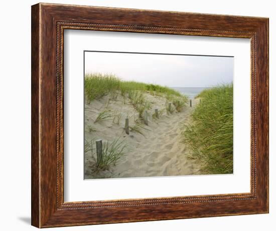 Path at Head of the Meadow Beach, Cape Cod National Seashore, Massachusetts, USA-Jerry & Marcy Monkman-Framed Photographic Print