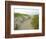 Path at Head of the Meadow Beach, Cape Cod National Seashore, Massachusetts, USA-Jerry & Marcy Monkman-Framed Photographic Print