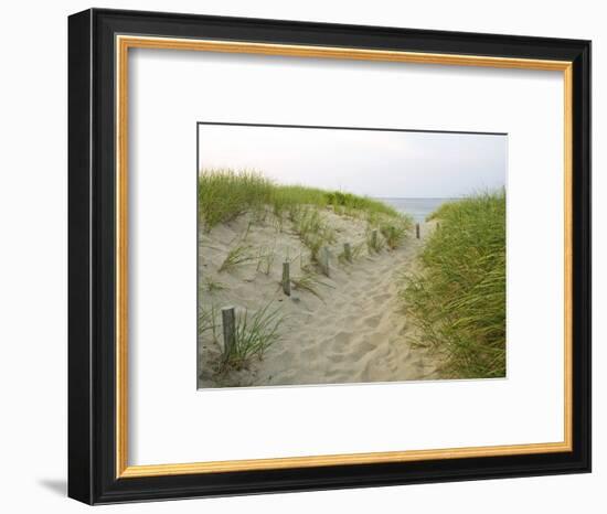 Path at Head of the Meadow Beach, Cape Cod National Seashore, Massachusetts, USA-Jerry & Marcy Monkman-Framed Photographic Print