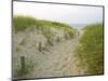 Path at Head of the Meadow Beach, Cape Cod National Seashore, Massachusetts, USA-Jerry & Marcy Monkman-Mounted Photographic Print