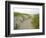 Path at Head of the Meadow Beach, Cape Cod National Seashore, Massachusetts, USA-Jerry & Marcy Monkman-Framed Photographic Print