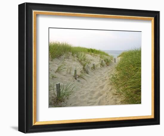 Path at Head of the Meadow Beach, Cape Cod National Seashore, Massachusetts, USA-Jerry & Marcy Monkman-Framed Photographic Print