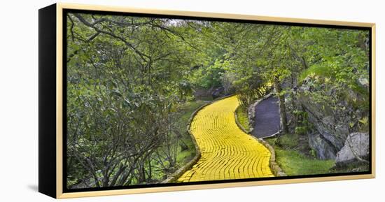 Path in a forest, Wizard of Oz Park, North Carolina, USA-Panoramic Images-Framed Premier Image Canvas