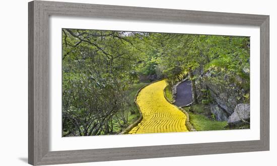 Path in a forest, Wizard of Oz Park, North Carolina, USA-Panoramic Images-Framed Photographic Print