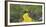 Path in a forest, Wizard of Oz Park, North Carolina, USA-Panoramic Images-Framed Photographic Print