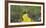 Path in a forest, Wizard of Oz Park, North Carolina, USA-Panoramic Images-Framed Photographic Print