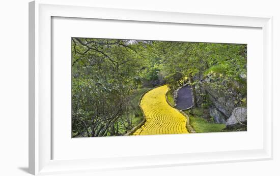 Path in a forest, Wizard of Oz Park, North Carolina, USA-Panoramic Images-Framed Photographic Print