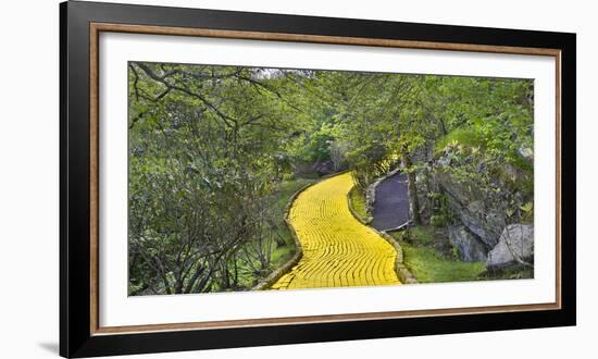 Path in a forest, Wizard of Oz Park, North Carolina, USA-Panoramic Images-Framed Photographic Print