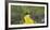 Path in a forest, Wizard of Oz Park, North Carolina, USA-Panoramic Images-Framed Photographic Print