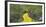 Path in a forest, Wizard of Oz Park, North Carolina, USA-Panoramic Images-Framed Photographic Print