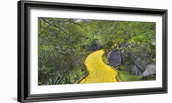 Path in a forest, Wizard of Oz Park, North Carolina, USA-Panoramic Images-Framed Photographic Print